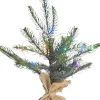 Sirius Elektriske Julelys<Bella Juletræ 20LED