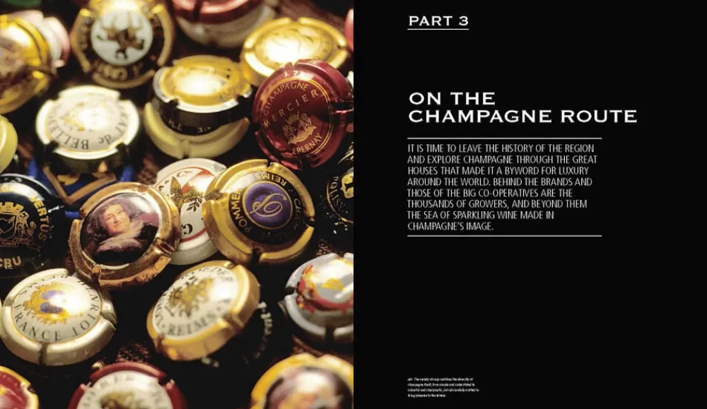 Bøger Bøger<Champagne - Wine of Kings and the King of Wines