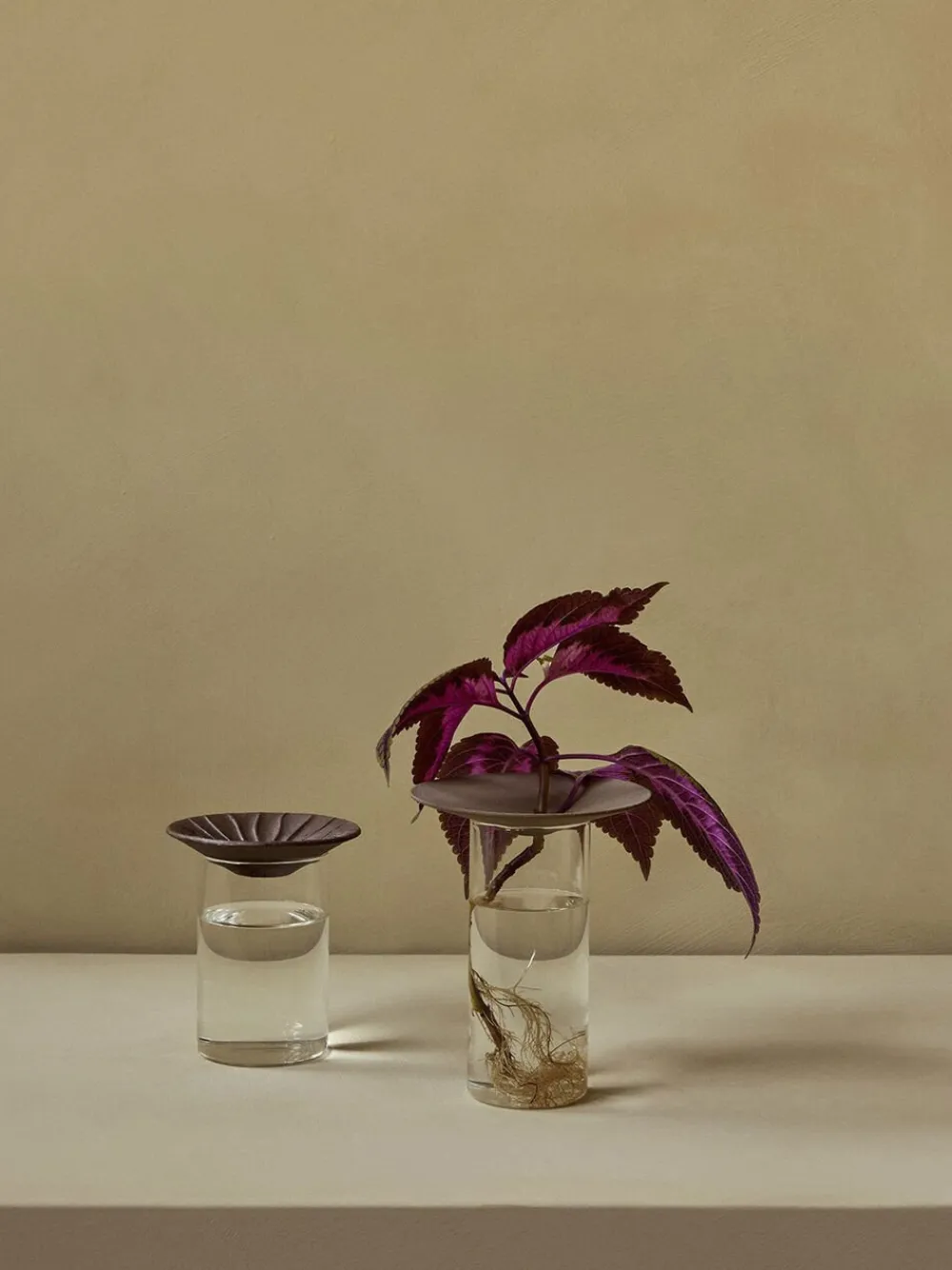 Audo Copenhagen Vaser & Urtepotteskjulere<Cresco Propagation Vases, Set of 2