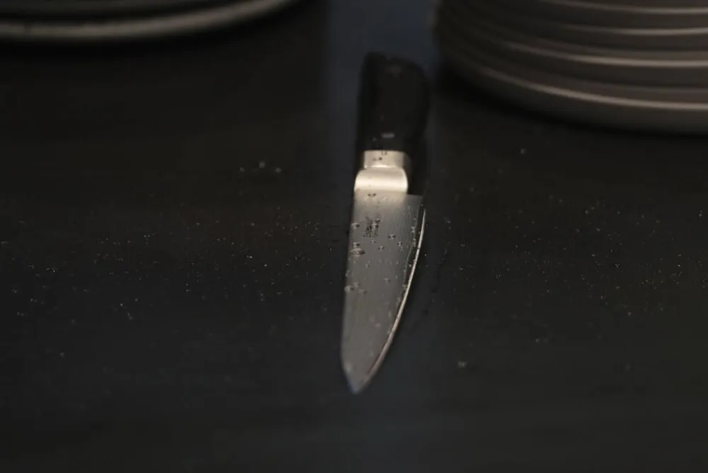 Endeavour Køkkenknive & Sakse<Meat - kniv 20 cm