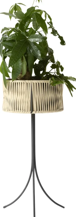 Audo Copenhagen Vaser & Urtepotteskjulere<Umanoff, Planter, H 69