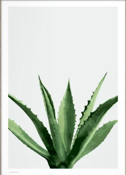 Poster & Frame Plakater & Rammer<Wonderhagen - Agave plakat Grøn